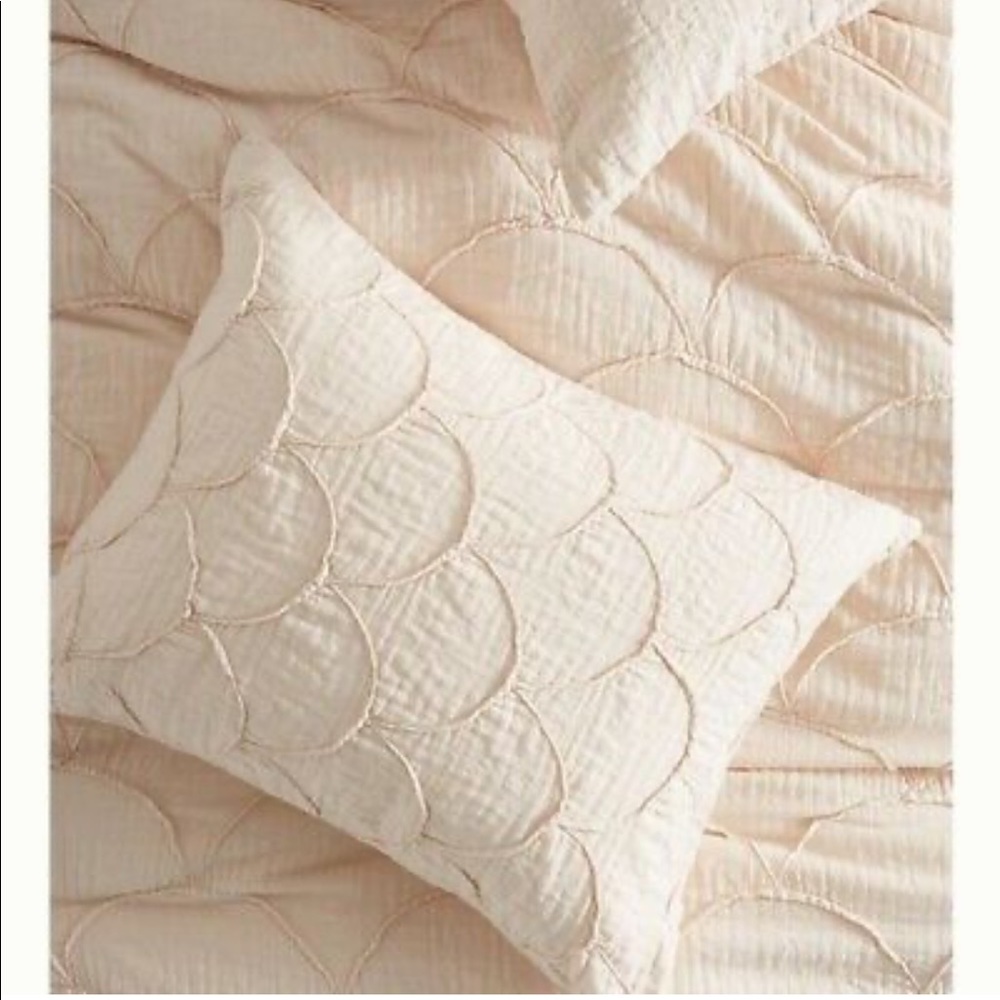 Anthropologie pillow shams